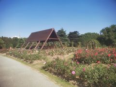 -上海滨江森林公园