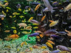 -太平洋海底世界