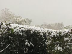-天目湖涵田半山温泉