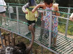 -西霞口神雕山野生动物世界