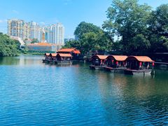 -侨美·唐荔园·40年地道粤菜