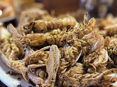 -蓝湾碧波·老字号·疍家非遗海上餐厅