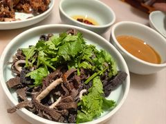 -小吊梨汤·北京菜·烤鸭(鸟巢店)