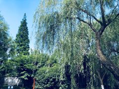 -瀛洲公园
