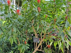 -北京植物园-展览温室