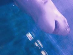 -白鹿仓冰雪海洋世界