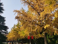 -淮海战役纪念馆