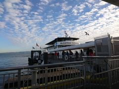 -阿尔卡特拉斯岛