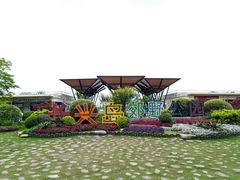 -上海长兴岛郊野公园