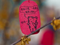 -苗品记茶馆(IFS国金中心店)