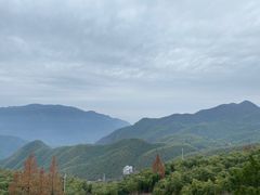 -江南天池