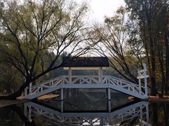 -上海共青森林公园