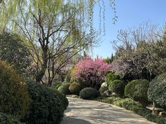 -西安华清御汤酒店