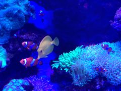 -多彩贵州城极地海洋世界