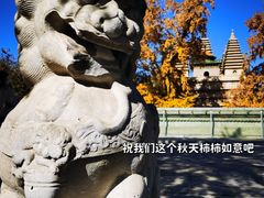 -北京石刻艺术博物馆(五塔寺)