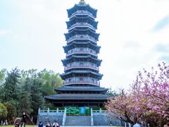 -重庆园博园