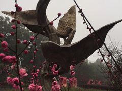 -南山植物园