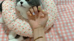-ChuLian初莲日式美甲美睫
