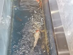-洞庭家宴·头牌甲鱼(广渠门店)