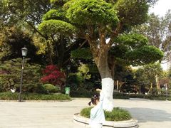 -龙头寺公园
