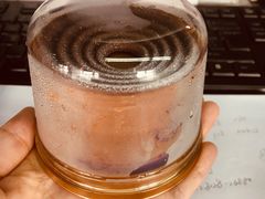 -GANSO元祖食品(锦创书城店)