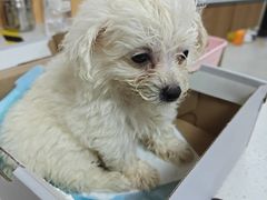 -联合动物医院(光谷诊疗中心)