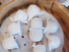 -青蓬蒸汽海鲜·深圳老字号·团建聚会(壹方城店)