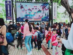 -爱乐蒙艺术·古筝 钢琴 声乐(科华校区)