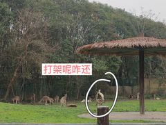 -宁波野生动物园