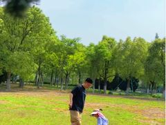 -南汇新城城市公园