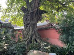 -三苏祠