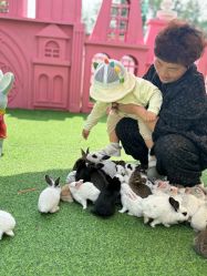 点击看大图 -萌宠亲子动物乐园(槐房万达店)