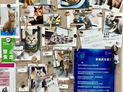 -美联众合爱康动物医院•复杂内科•肿瘤科•牙科•腔镜诊疗中心