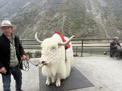 -叠溪松坪沟景区