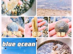 -仙人岛