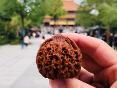 -西安大兴善寺