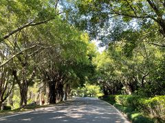 -福建鲤鱼洲酒店