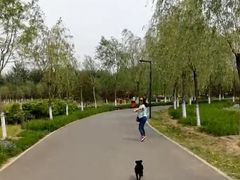 -东郊湿地公园
