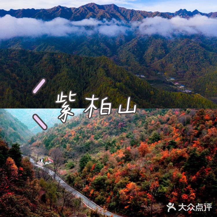 秦岭赏秋 | 这个十一假期,去看秦岭漫山红叶❗