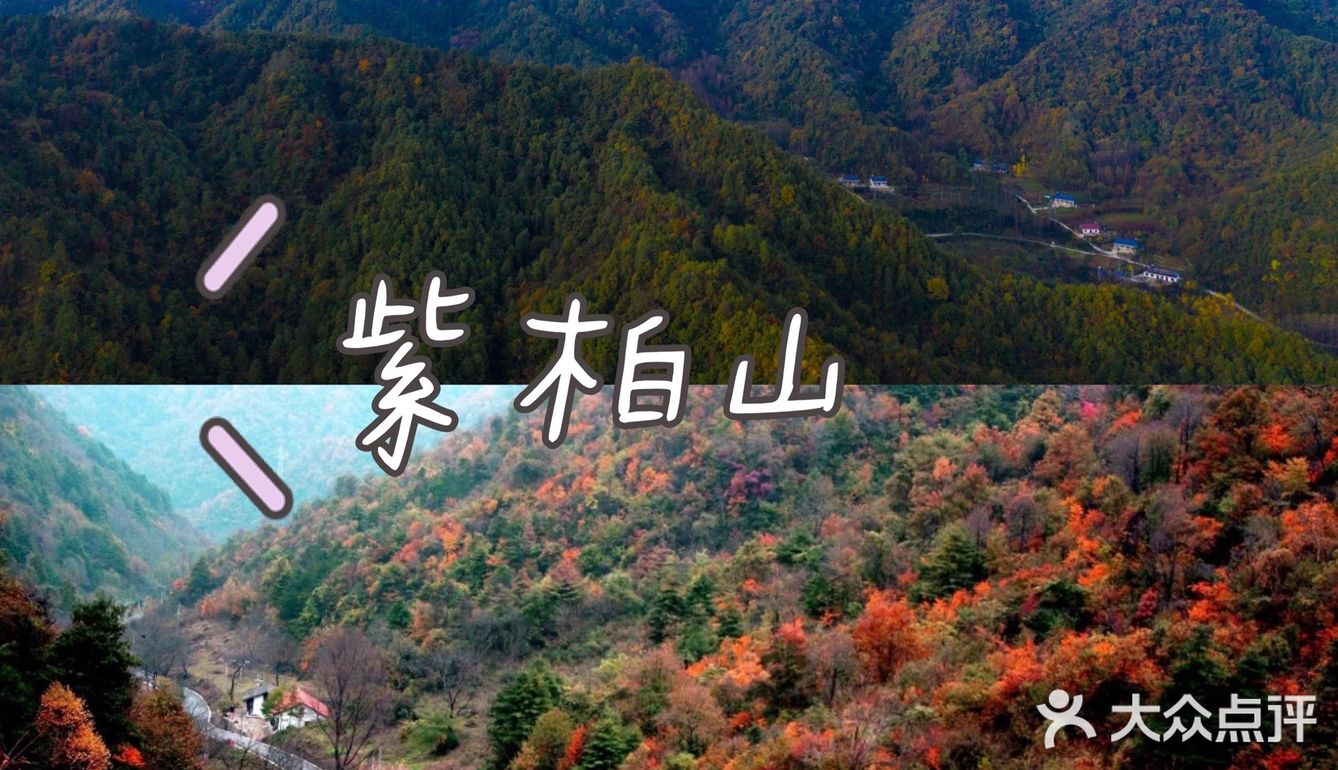 秦岭赏秋 | 这个十一假期,去看秦岭漫山红叶❗