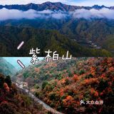 秦岭赏秋 | 这个十一假期,去看秦岭漫山红叶❗