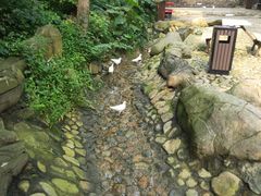 -燕塞湖鸟语林景区