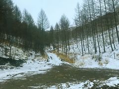 -乌兰布统草原