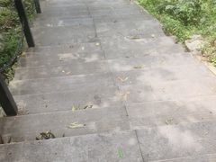 -王顺山国家森林公园