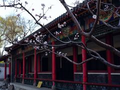 -碑林公园