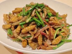 -侨美食家·粤菜(体育西路店)
