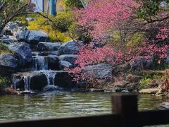-中国茶叶博物馆(双峰馆区)