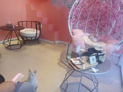 -藏猫猫咖啡主题馆(中央大道店)