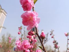 -北京明城墙遗址公园