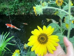 -The Flowers Coffee(南山店)